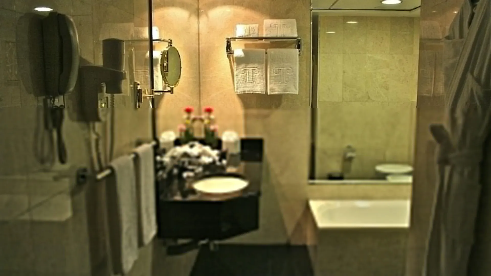 Trianon Royal Hotel Abu Dhabi 0*,